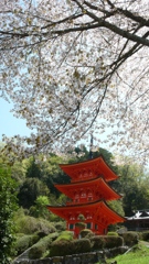 里山景