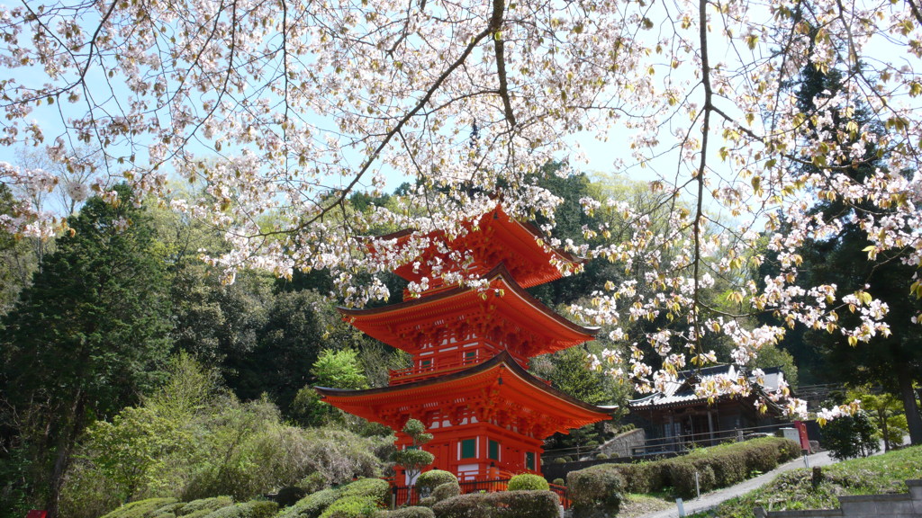 里山景