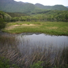 観音沼