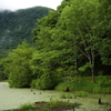 観音沼