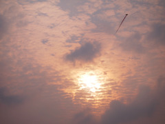 夕日と凧