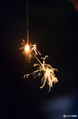 線香花火