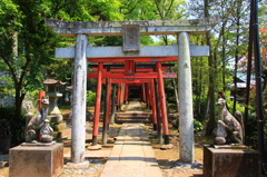 諏訪神社-1