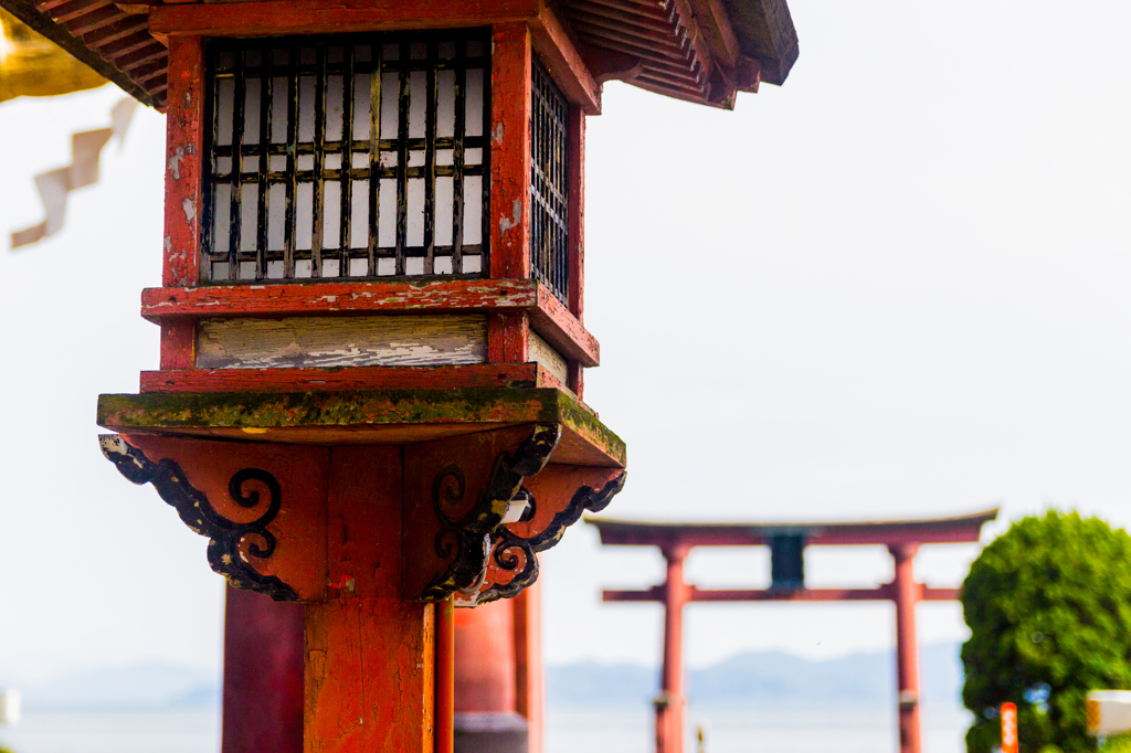 白鬚神社-4