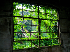 廃造船所の窓