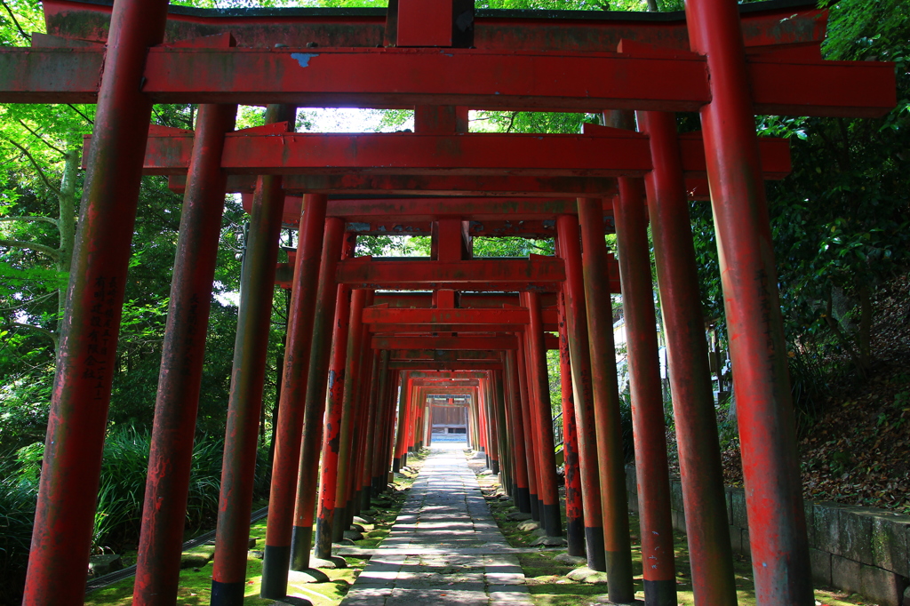 諏訪神社--2