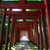 諏訪神社--2