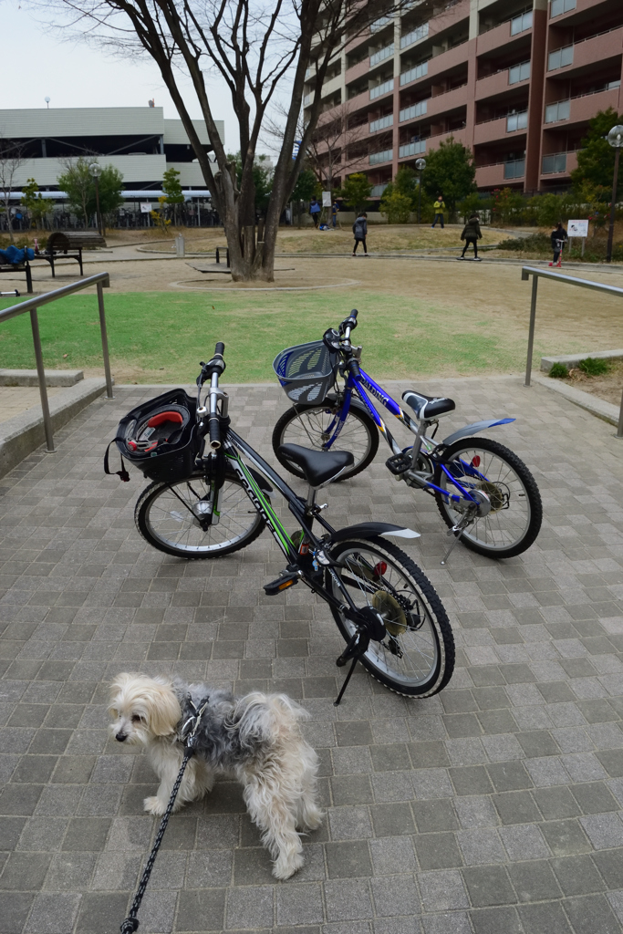 遊んでいこうよ