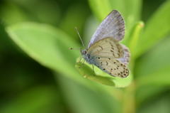 良く乾かさなきゃ