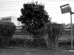 突き当りは線路