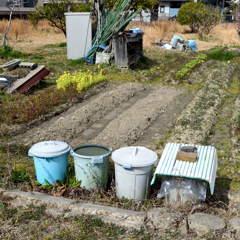 週末農業・春の作付けは何