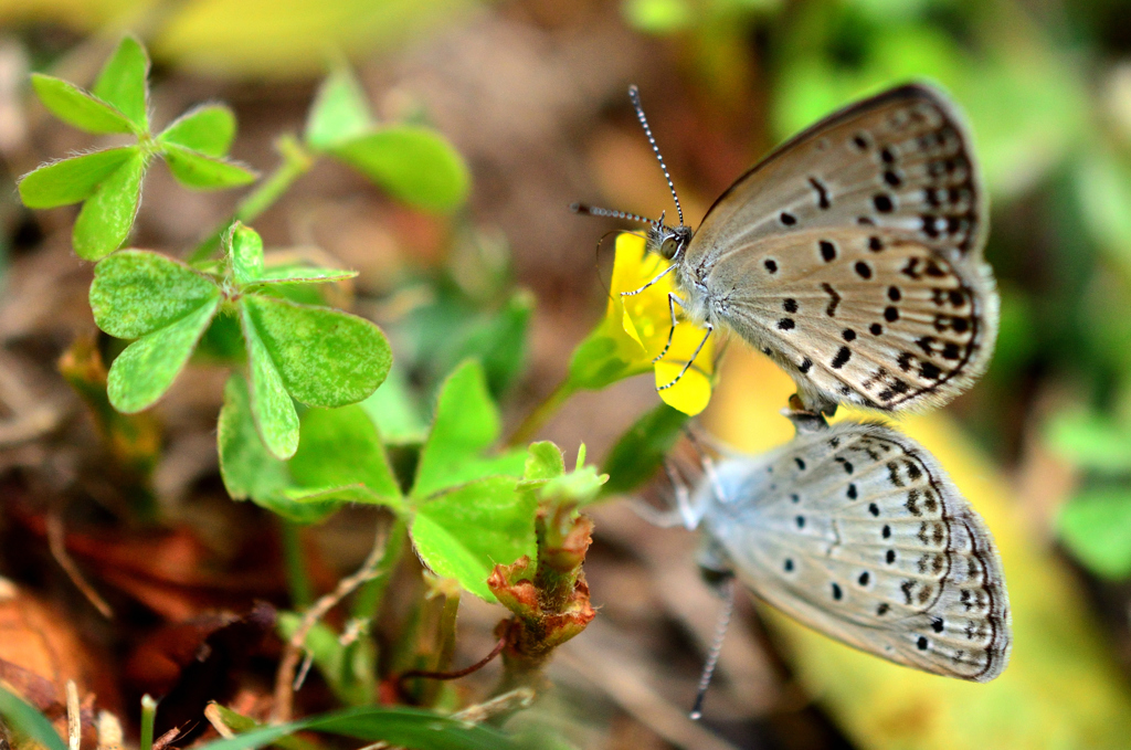 腹が減っては・・