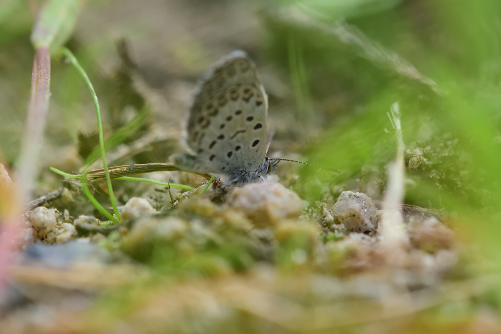 風をよけて地表に