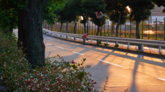 早朝ボランティア