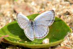 風よけシェルター