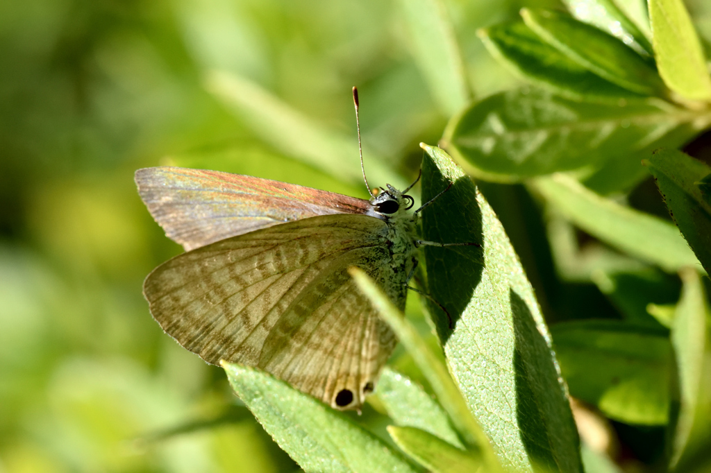 まだ頑張るぞ！！
