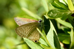 まだ頑張るぞ！！