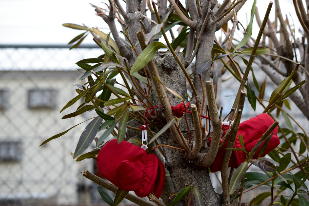 可愛い落とし物