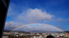 虹の架け橋