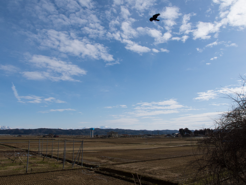 冬空ガラス