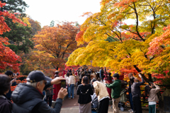 行楽の秋