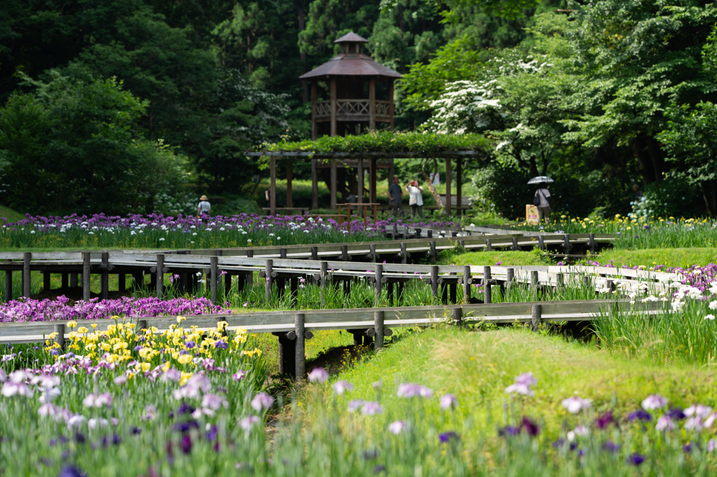 公園のシンボルと