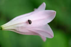 好奇心の芽生え