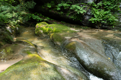 水嵩増す