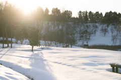 煌めく雪原