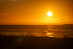夕日