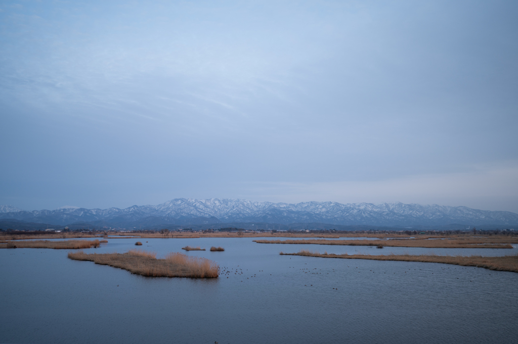 福島潟にて