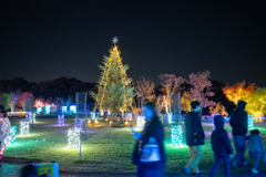 クリスマスツリー