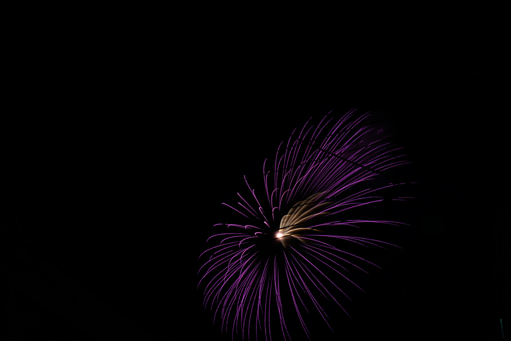 越後加茂川夏祭り 大花火大会