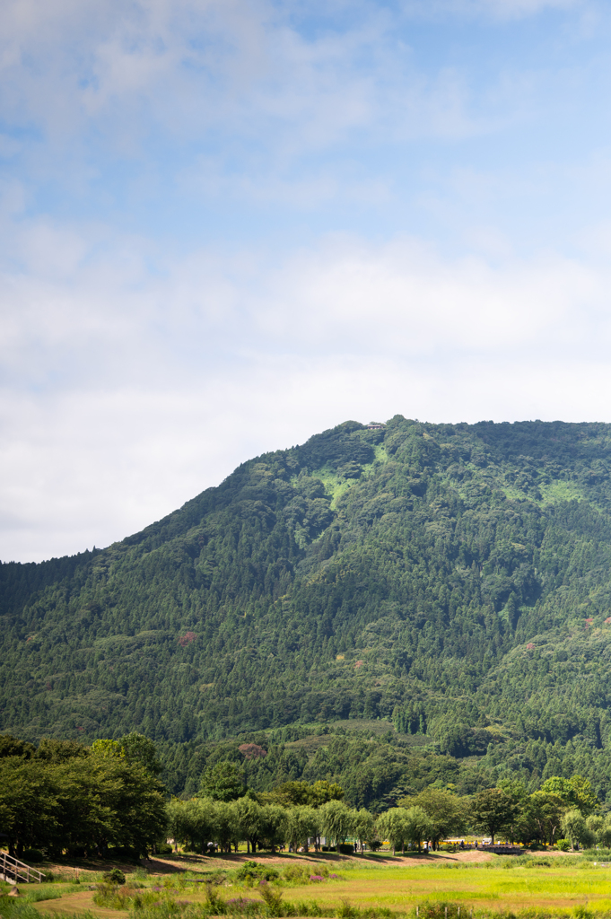 夏の山