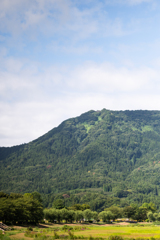 夏の山