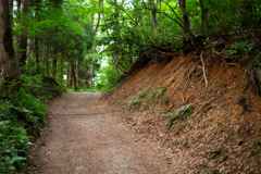 護摩堂山 登山道