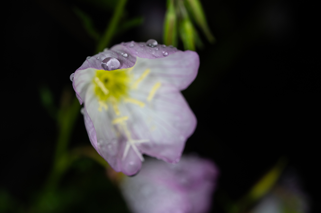 雨を抱える