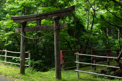 森の結界