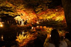 光と紅葉が広がる