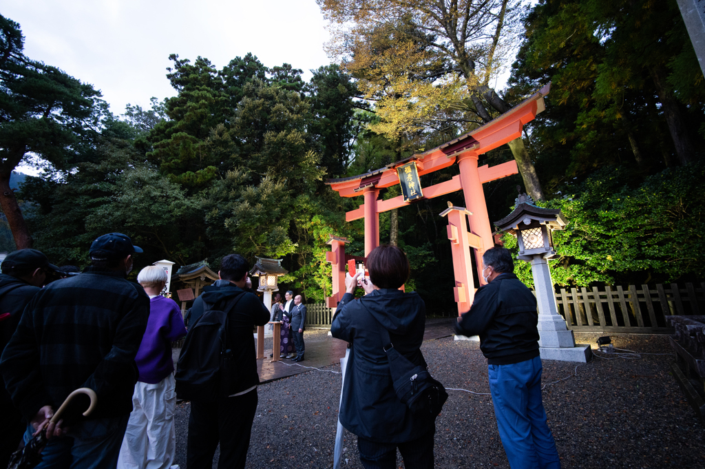 弥彦神社ライトアップ点灯式