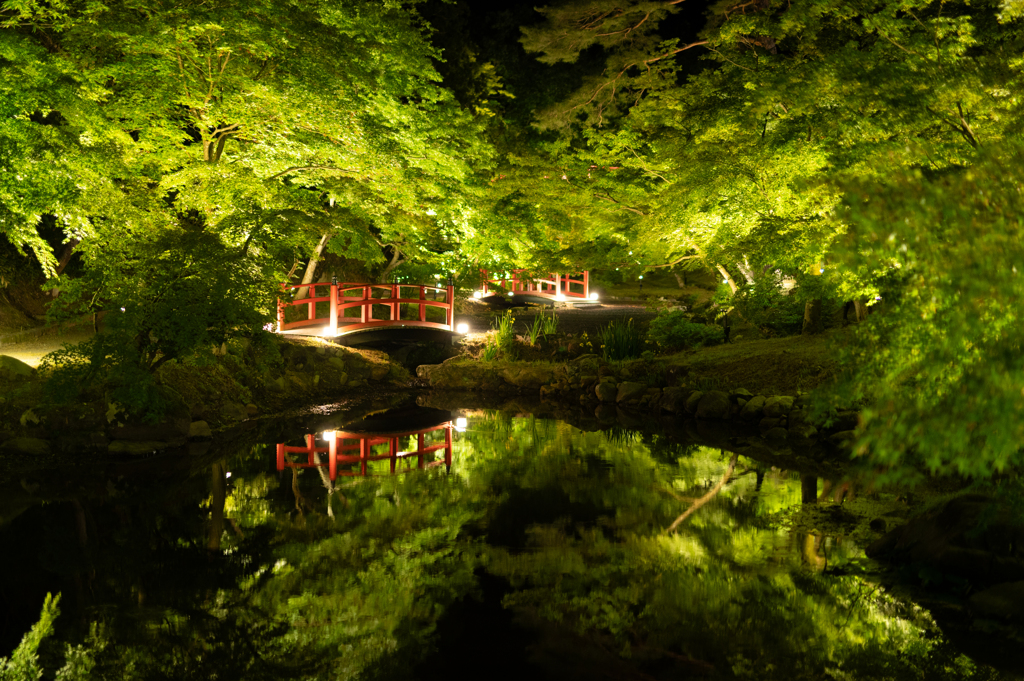 池の端から