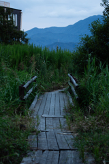 湿地の木道