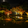 蓮池の紅葉