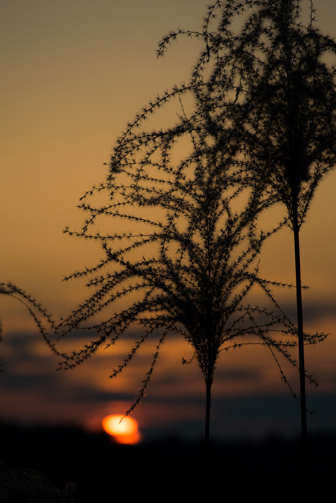 私は夕焼けヲ見に、