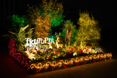 WINTER ILLUMINATION 2024