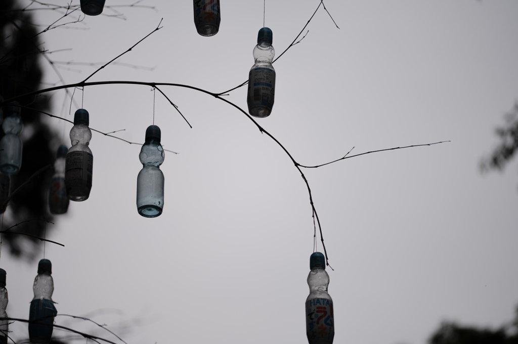 カラス除け？
