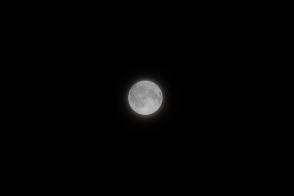 月齢15