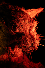 猫又