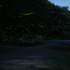 月夜の陰