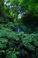雌滝